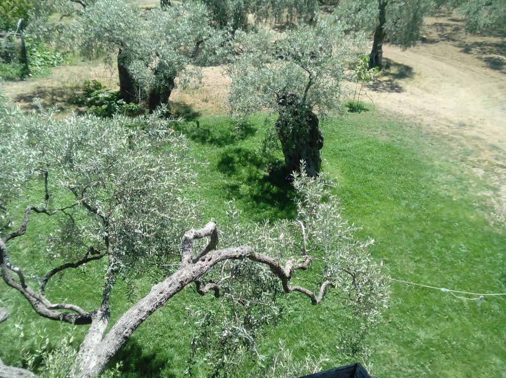 Skala Rachoni  Villa Thomi מראה חיצוני תמונה
