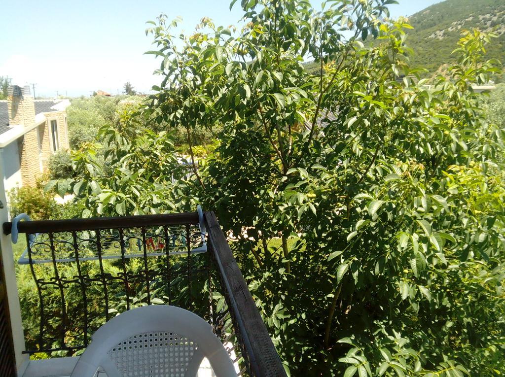 Skala Rachoni  Villa Thomi מראה חיצוני תמונה