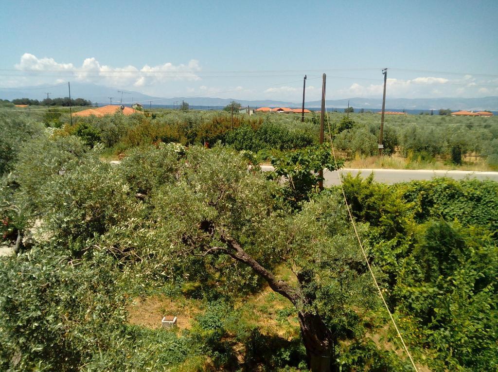 Skala Rachoni  Villa Thomi מראה חיצוני תמונה