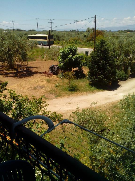 Skala Rachoni  Villa Thomi מראה חיצוני תמונה