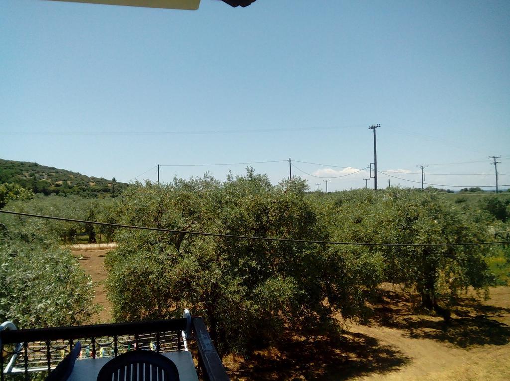 Skala Rachoni  Villa Thomi מראה חיצוני תמונה